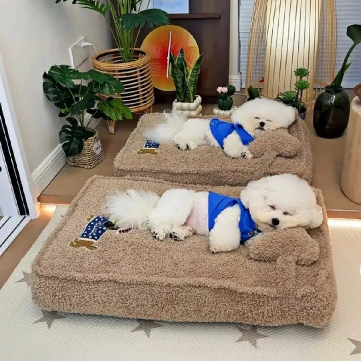Pet Mattress Bed with Removable Cover & Pillow – Cushora™