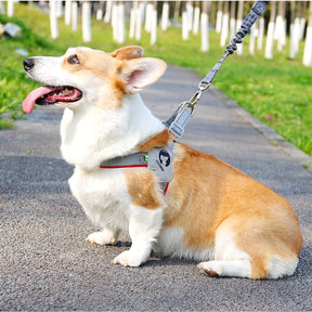 Polyester Pet Harness with Reflective Strip, Multiple Sizes – Trufen™