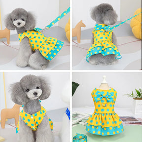 Polka Dot Dress Collar & Leash Set for Pets – Twirla™