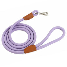 Nylon Pet Leash with Quick-Release Buckle for Everyday Walks – Ramsey™