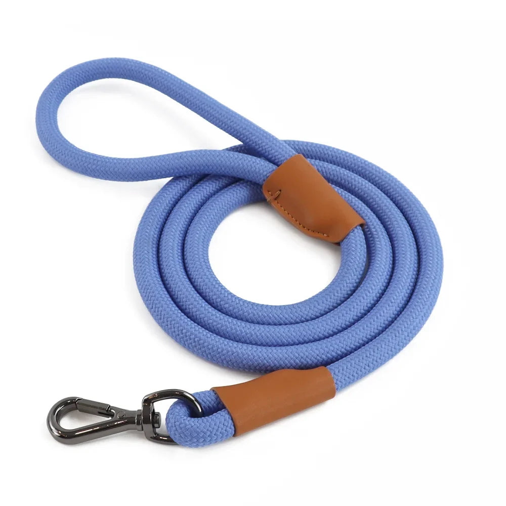 Nylon Pet Leash with Quick-Release Buckle for Everyday Walks – Ramsey™