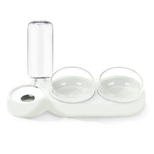 Double Pet Bowl with Automatic Water Dispenser – Trioh™