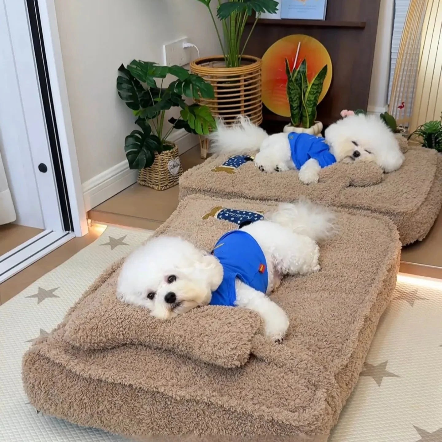 Pet Mattress Bed with Removable Cover & Pillow – Cushora™