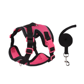 Reflective Nylon Dog Collar & Leash Set for Small to Large Dogs – Duskra™