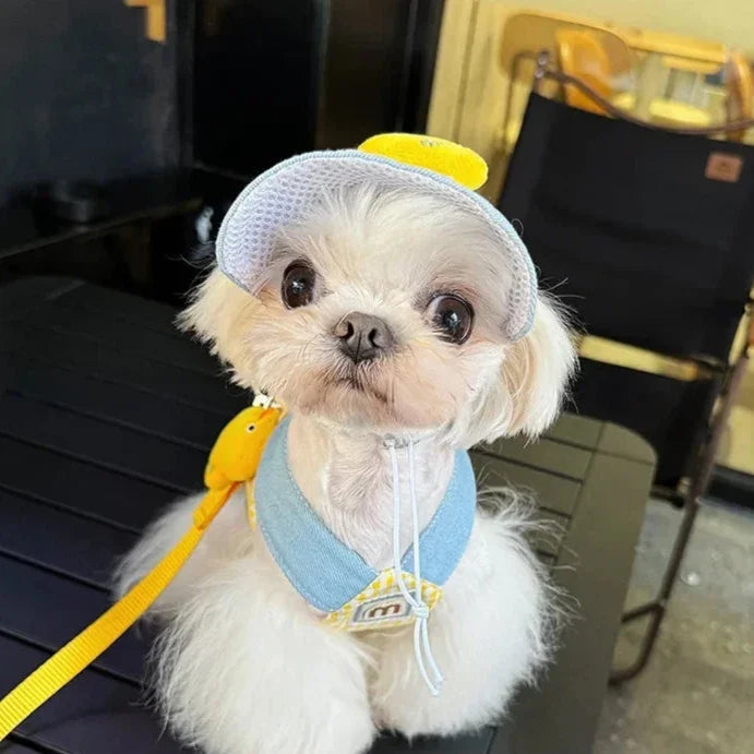 Pet Collar, Leash & Hat Set with Yellow & Blue Design – Zolkit™