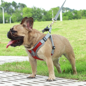 Soft Reflective Nylon Chest Harness for Dogs & Cats – Dovex™