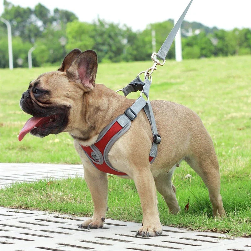 Soft Reflective Nylon Chest Harness for Dogs & Cats – Dovex™