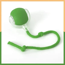 Motion-Sensor Automatic Rolling Ball Cat Toy – Rollio™