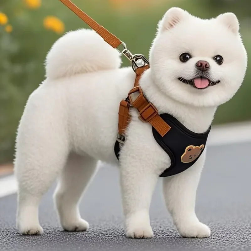 Teddy Bear Charm Polyester Collar & Leash Set for Pets – Baylo™