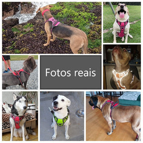 Adjustable Harness Collar for Small to Large Dogs – Nimro™