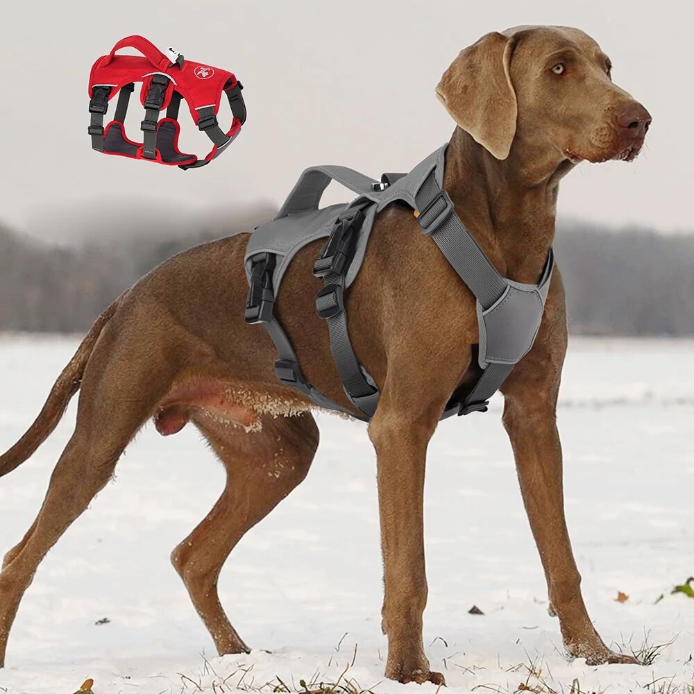 Padded Adjustable Chest Harness for Medium & Large Pets – Vorn™