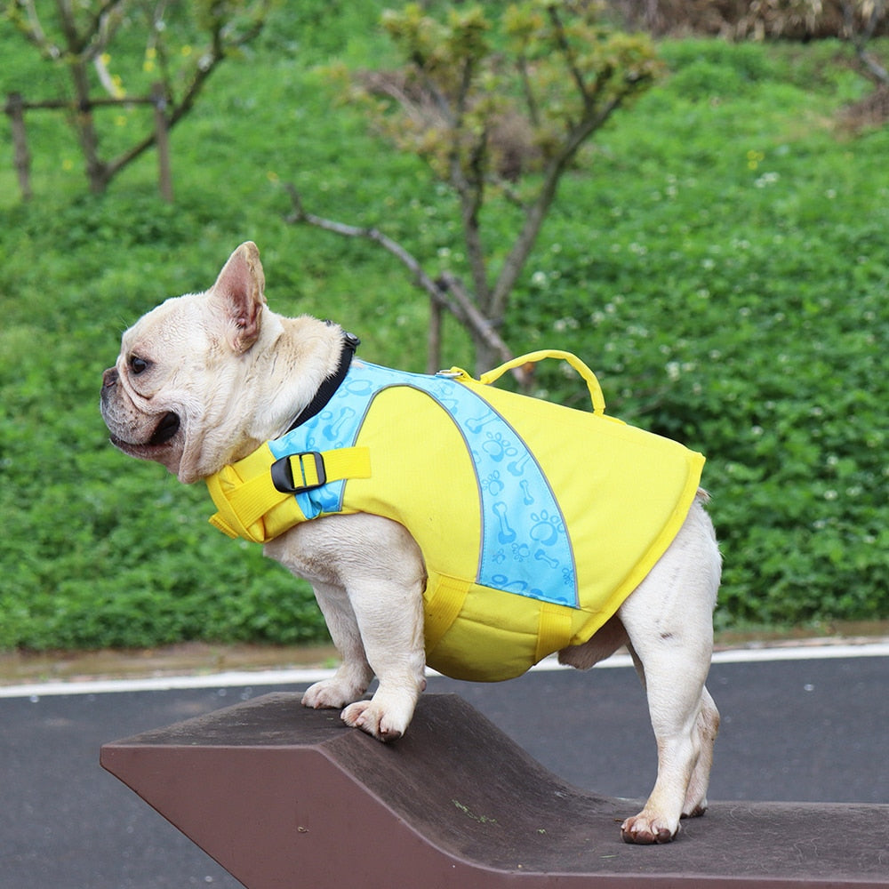 Pet Life Jacket with Adjustable Fit – Drifton™