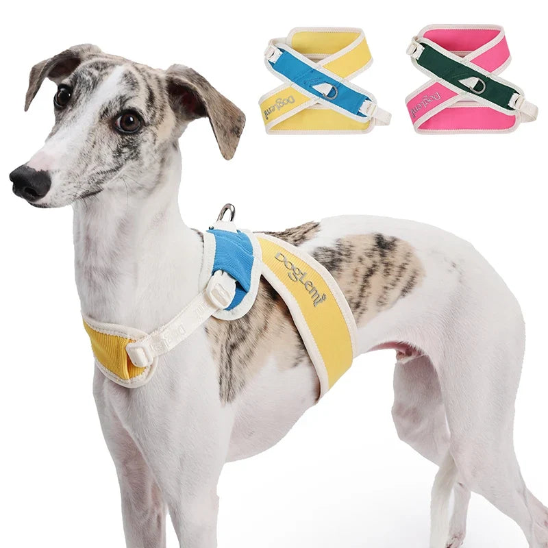 Padded No-Pull Pet Collar with Adjustable Nylon Strap – Cozwell™