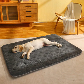 Cotton Pet Mattress Bed with Soft Padding – Nuvora™