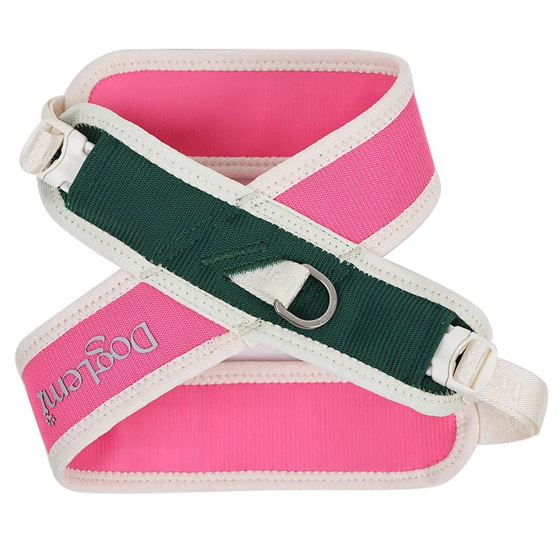 Padded No-Pull Pet Collar with Adjustable Nylon Strap – Cozwell™