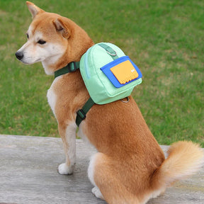 Backpack-Style Collar & Leash Set for Medium to Large Dogs – Wagport™