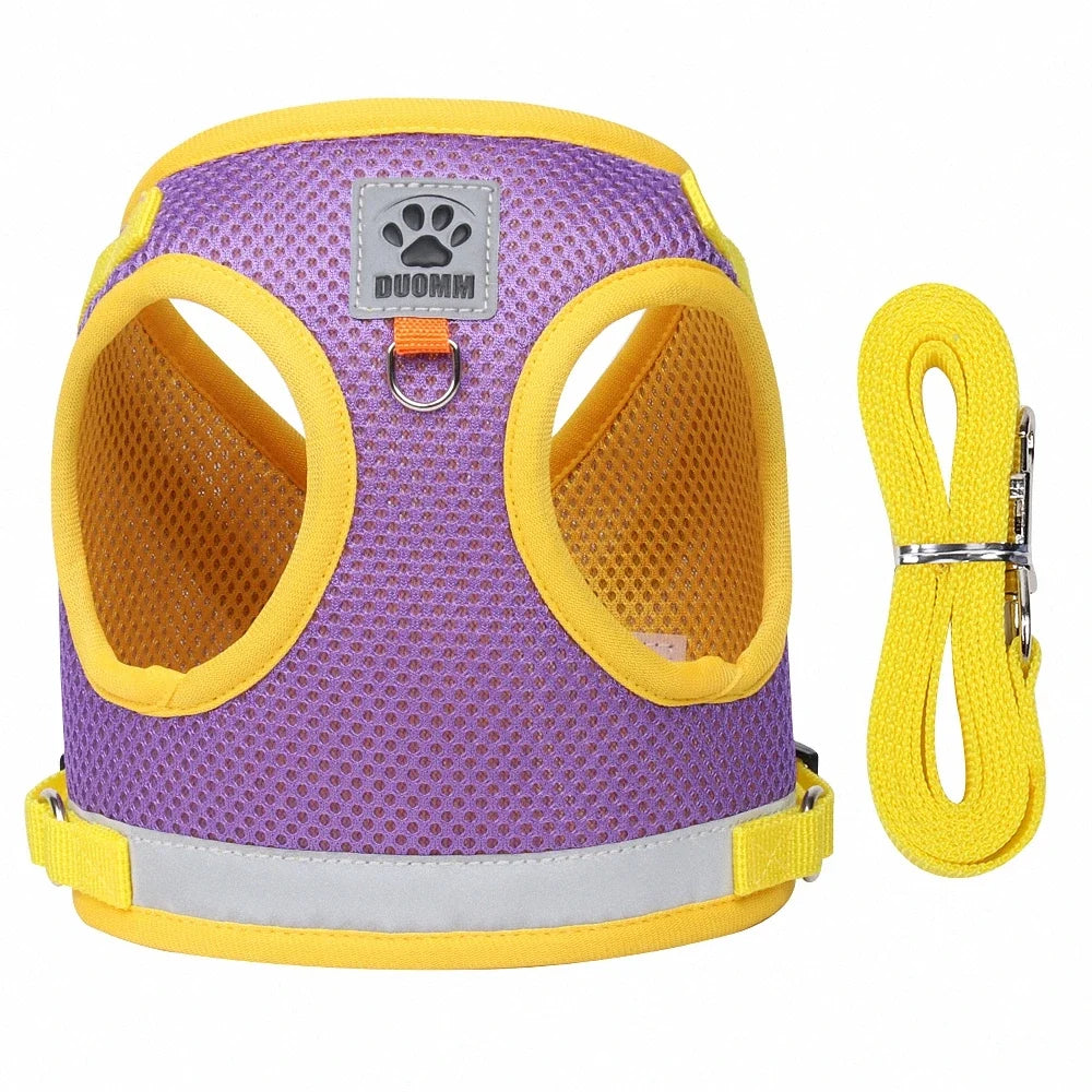 Reflective Chest Harness & Leash Set – Breathable Cotton-Poly Blend – GlowTrail™