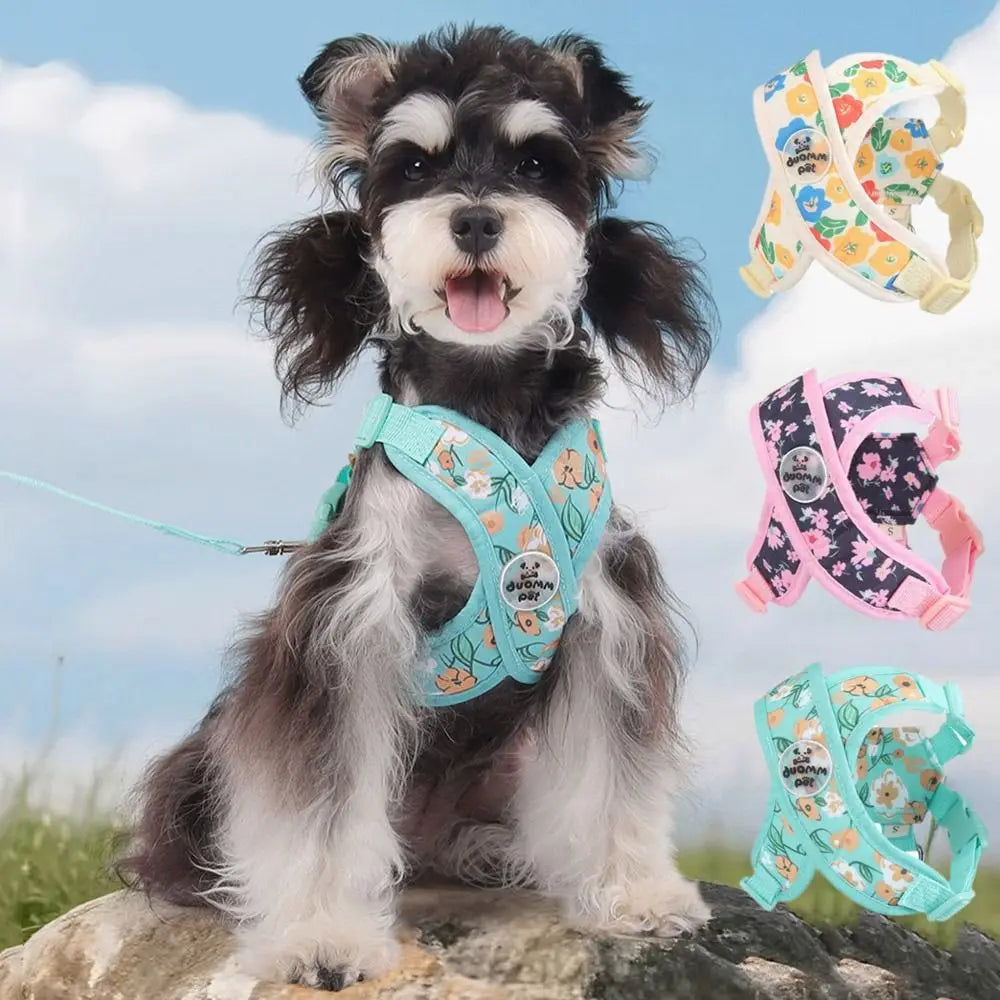 Floral Print Polyester Mesh Collar & Leash Set for Pets – Blithe™