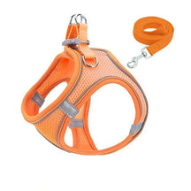 Reflective Breathable Pet Harness & Leash Set for Dogs & Cats – Hutie