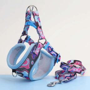Soft Polyester Collar and Leash Set for Dogs and Cats – Kivora™