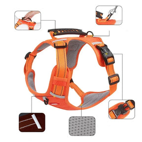 Adjustable Reflective Chest Harness for Small to Large Pets – Zeko™