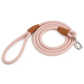Nylon Pet Leash with Quick-Release Buckle for Everyday Walks – Ramsey™