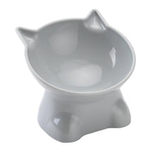 45° Angled Non-Slip Pet Bowl for Small & Medium Dogs & Cats – Anglix™