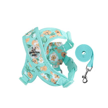 Floral Print Polyester Mesh Collar & Leash Set for Pets – Blithe™