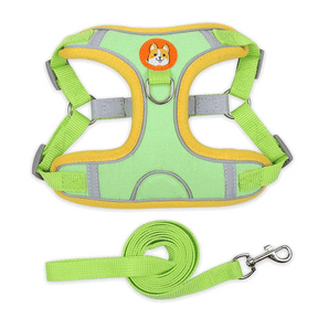 Polyester Mesh Dog Collar & Leash Set for Small to Large Dogs – Nokwell™