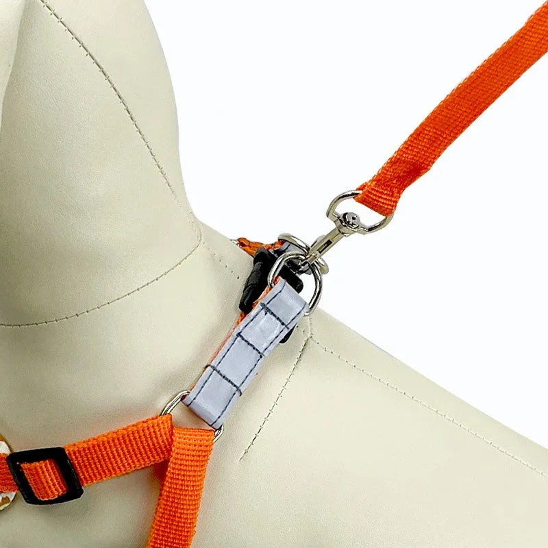 Adjustable Reflective Nylon Dog Collar & Leash Set – Trekly™