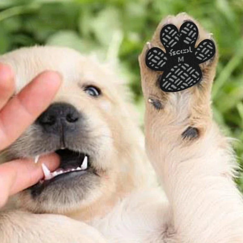 Adhesive Paw Protector Stickers for Dogs - 4 PCS – PawStick™