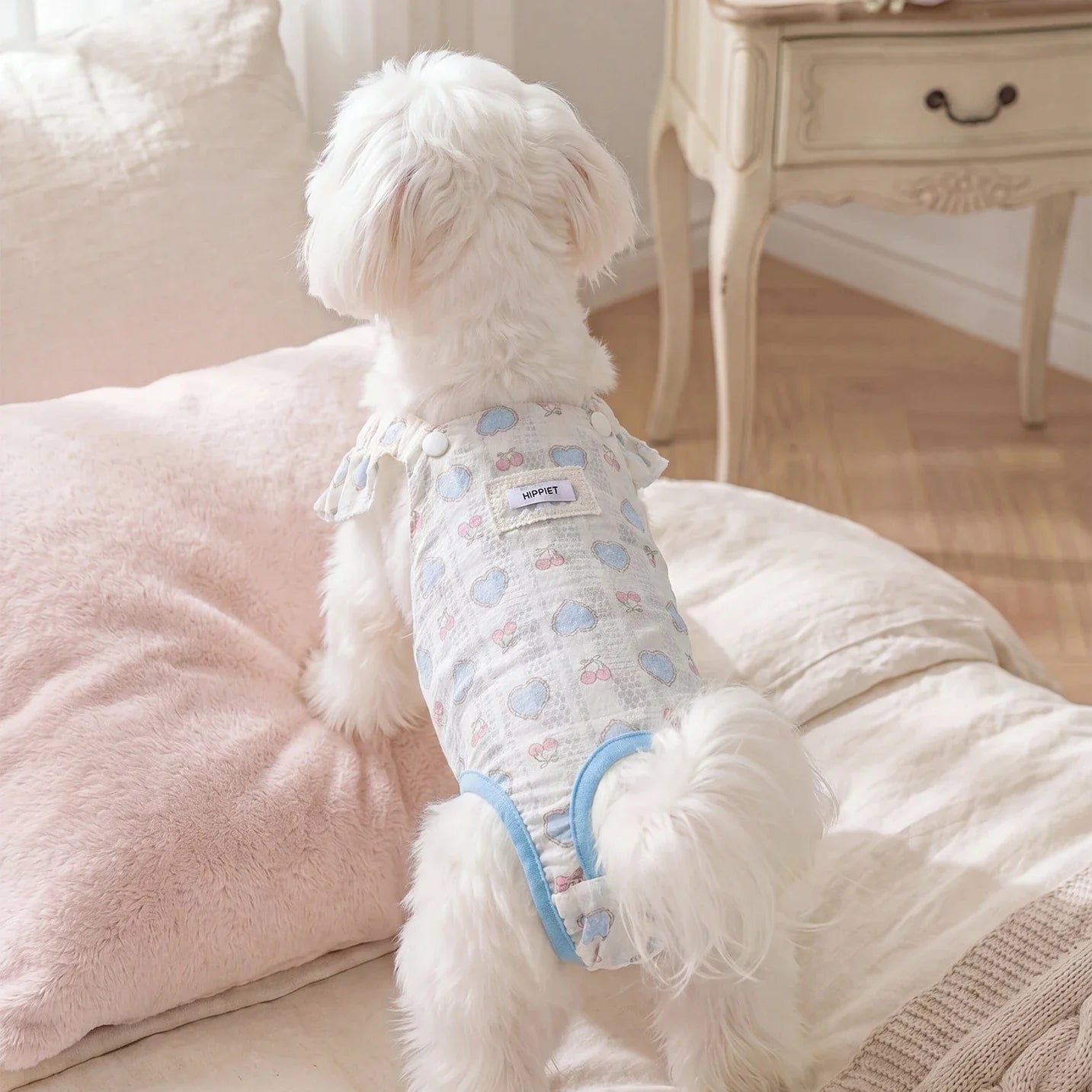 Dog Diaper Panties for Female Dogs in Heat – Britchie™