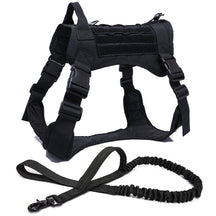 Nylon Chest Harness & Leash Training Set for Medium to Large Dogs – FieldRun™