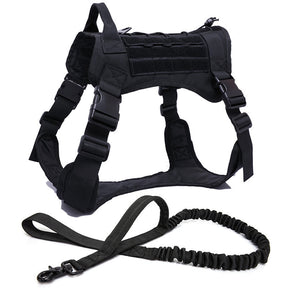 Nylon Chest Harness & Leash Training Set for Medium to Large Dogs – FieldRun™