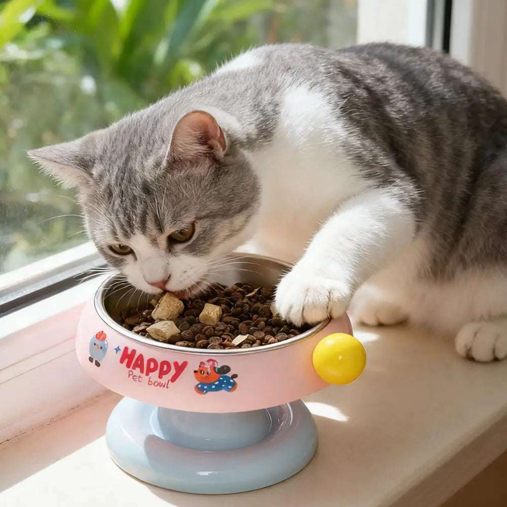 Elevated Pet Bowl for Dogs & Cats with Stainless Steel Insert – Nooka™