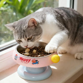 Elevated Pet Bowl for Dogs & Cats with Stainless Steel Insert – Nooka™