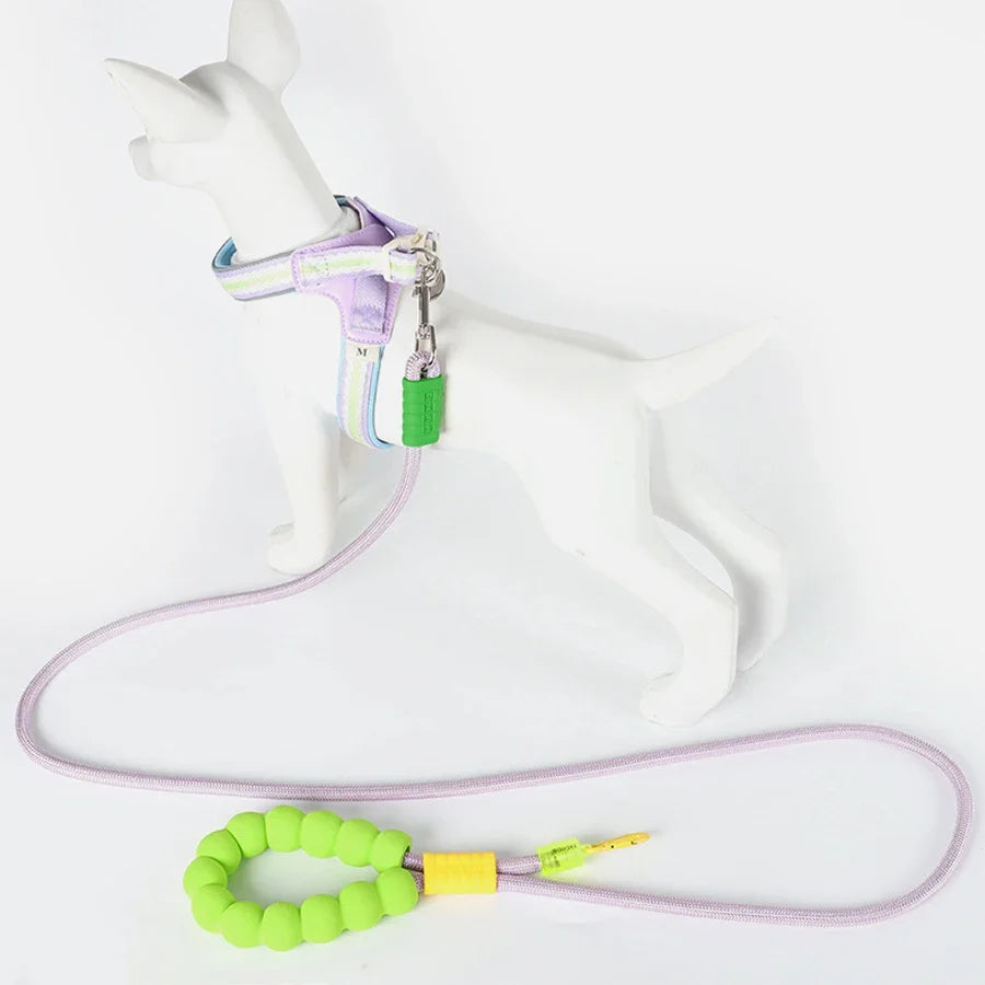 3-in-1 Pet Leash with Poop Bag Holder – Trekka™