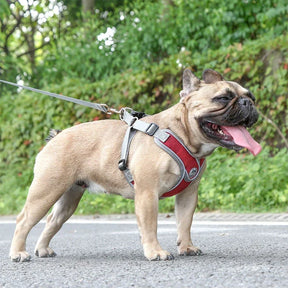 Soft Reflective Nylon Chest Harness for Dogs & Cats – Dovex™