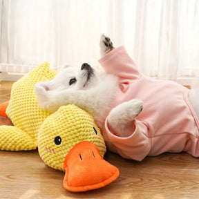 Plush Duck Pet Toy – Soft Wool Stuffed Chew Toy – Quacko™