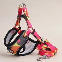 Soft Polyester Collar and Leash Set for Dogs and Cats – Kivora™