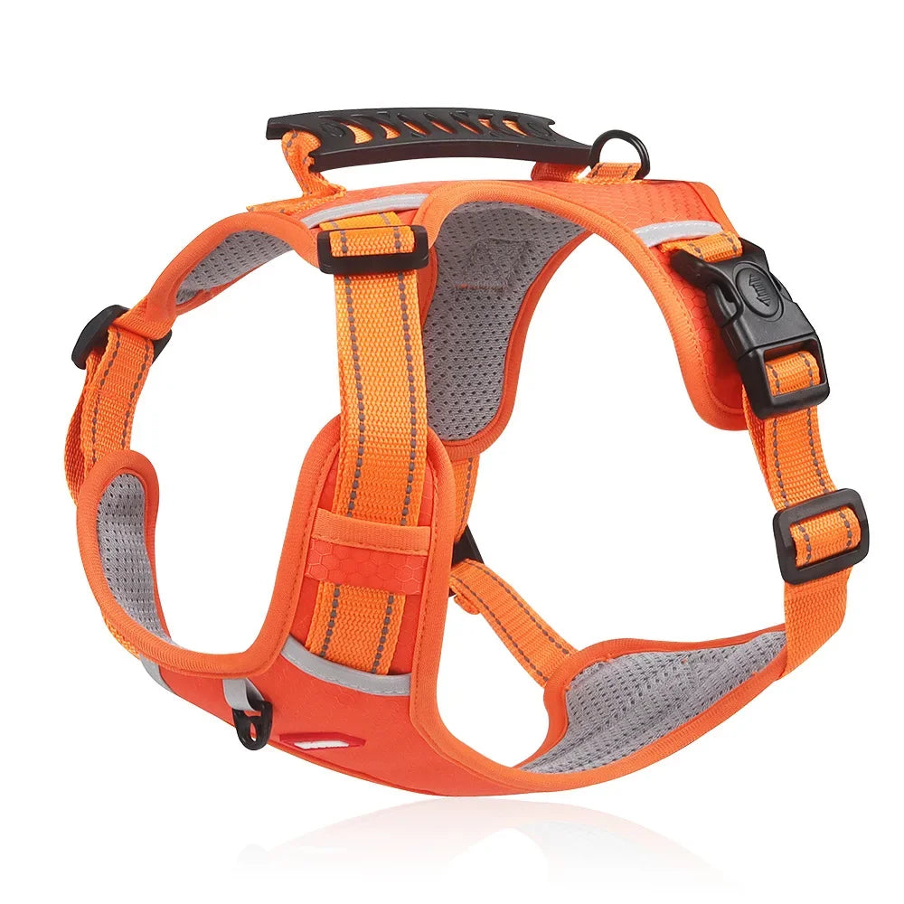 Adjustable Reflective Chest Harness for Small to Large Pets – Zeko™