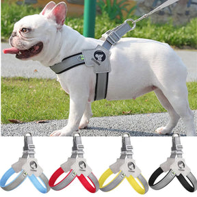 Polyester Pet Harness with Reflective Strip, Multiple Sizes – Trufen™