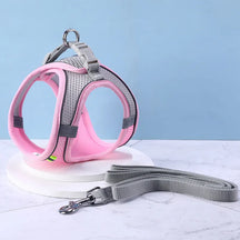 Reflective Collar & Leash Set for Dogs & Cats – Kinlo™
