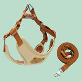 Teddy Bear Charm Polyester Collar & Leash Set for Pets – Baylo™