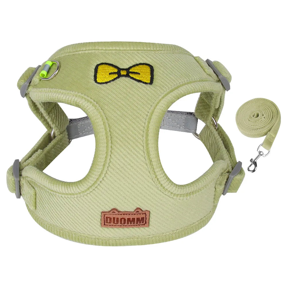 Velvet Collar & Leash Set for Small to Medium Dogs – PlushLead™