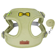 Velvet Collar & Leash Set for Small to Medium Dogs – PlushLead™