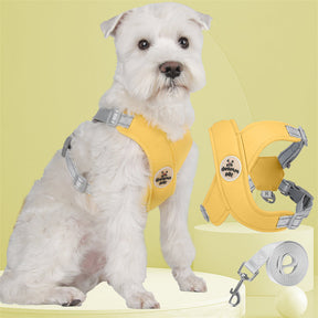 Adjustable Polyester Collar and Leash Set for Dogs and Cats – Zynn™