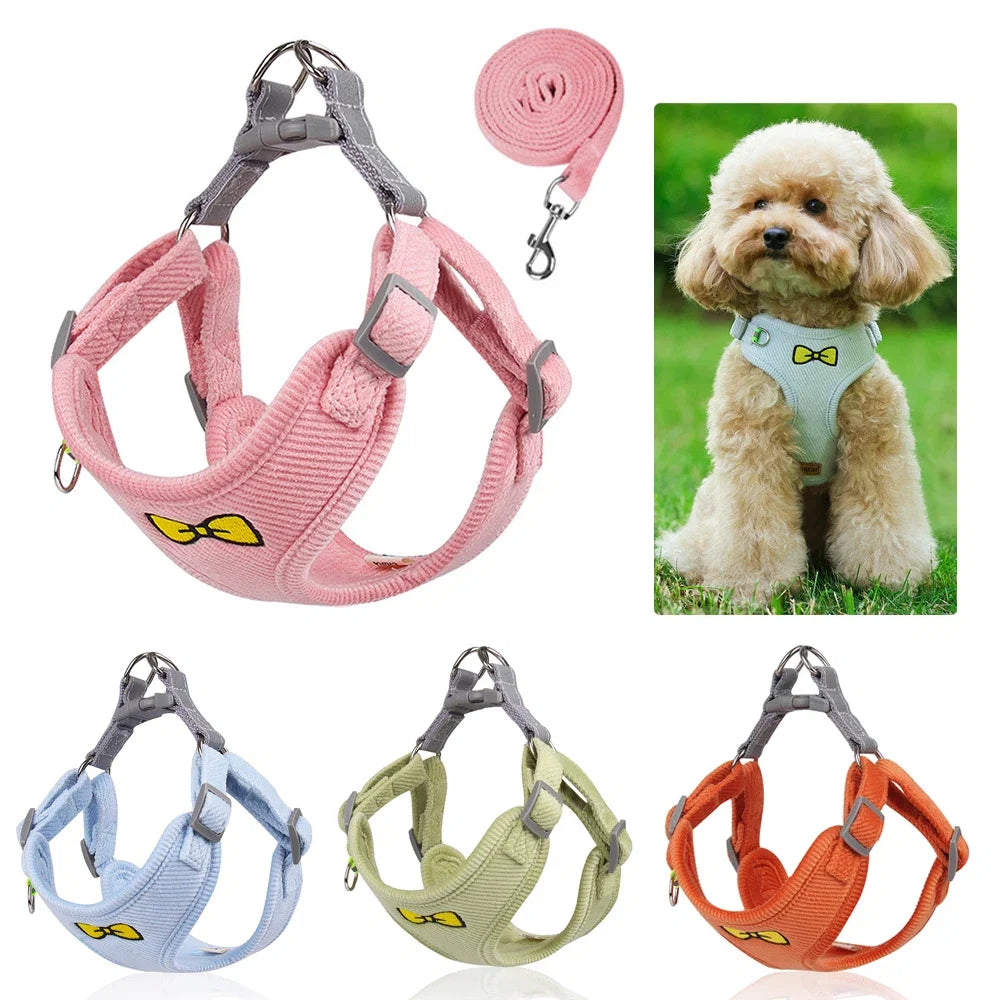 Velvet Collar & Leash Set for Small to Medium Dogs – PlushLead™