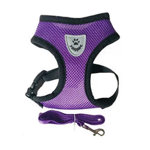 Polyester Pet Harness & Leash Set – Pawsway™
