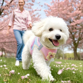 Breathable Reflective Pet Collar & Leash Set – AirTrail™